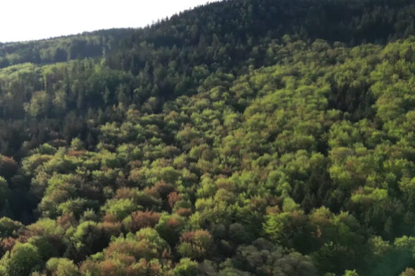 Pro Humane Agro-pustelnik