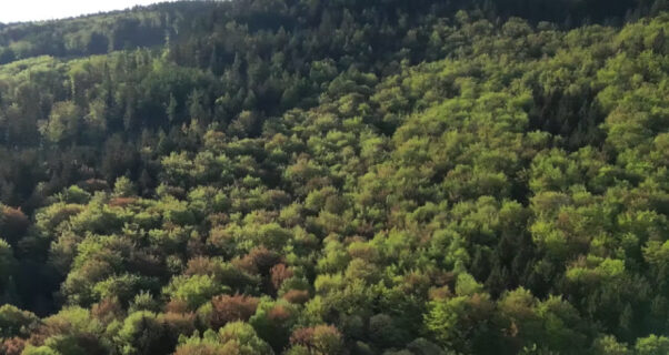 Pro Humane Agro-pustelnik